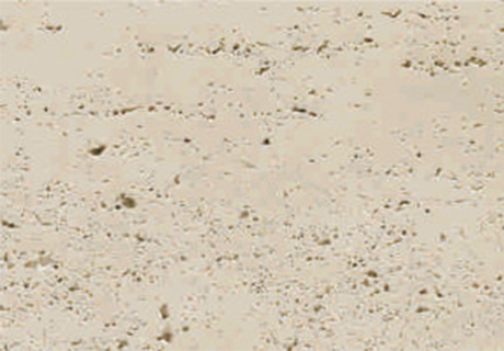 尊龙凯时·(中国游)官方网站