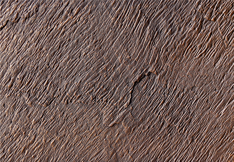 尊龙凯时·(中国游)官方网站